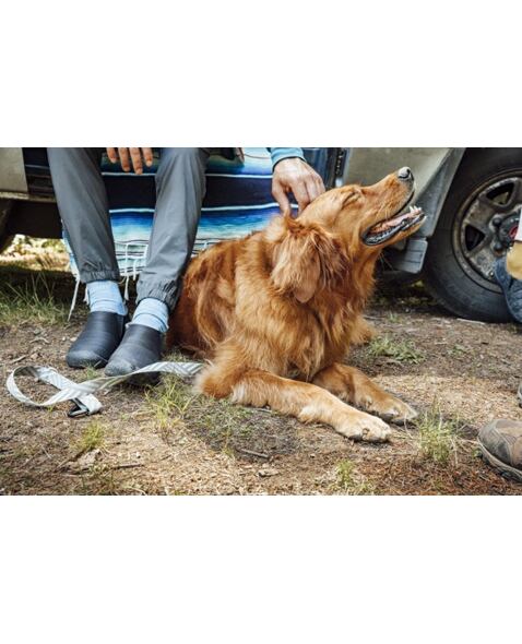 Pánske topánky KEEN HOWSER II M